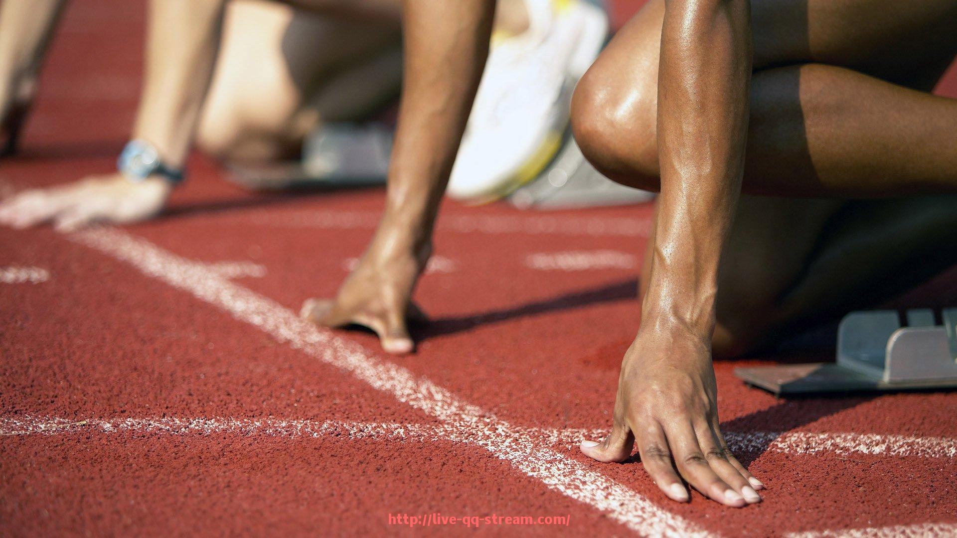 企鹅直播-德甲保持不败的球队：当前赛季哪些球队还未失利？