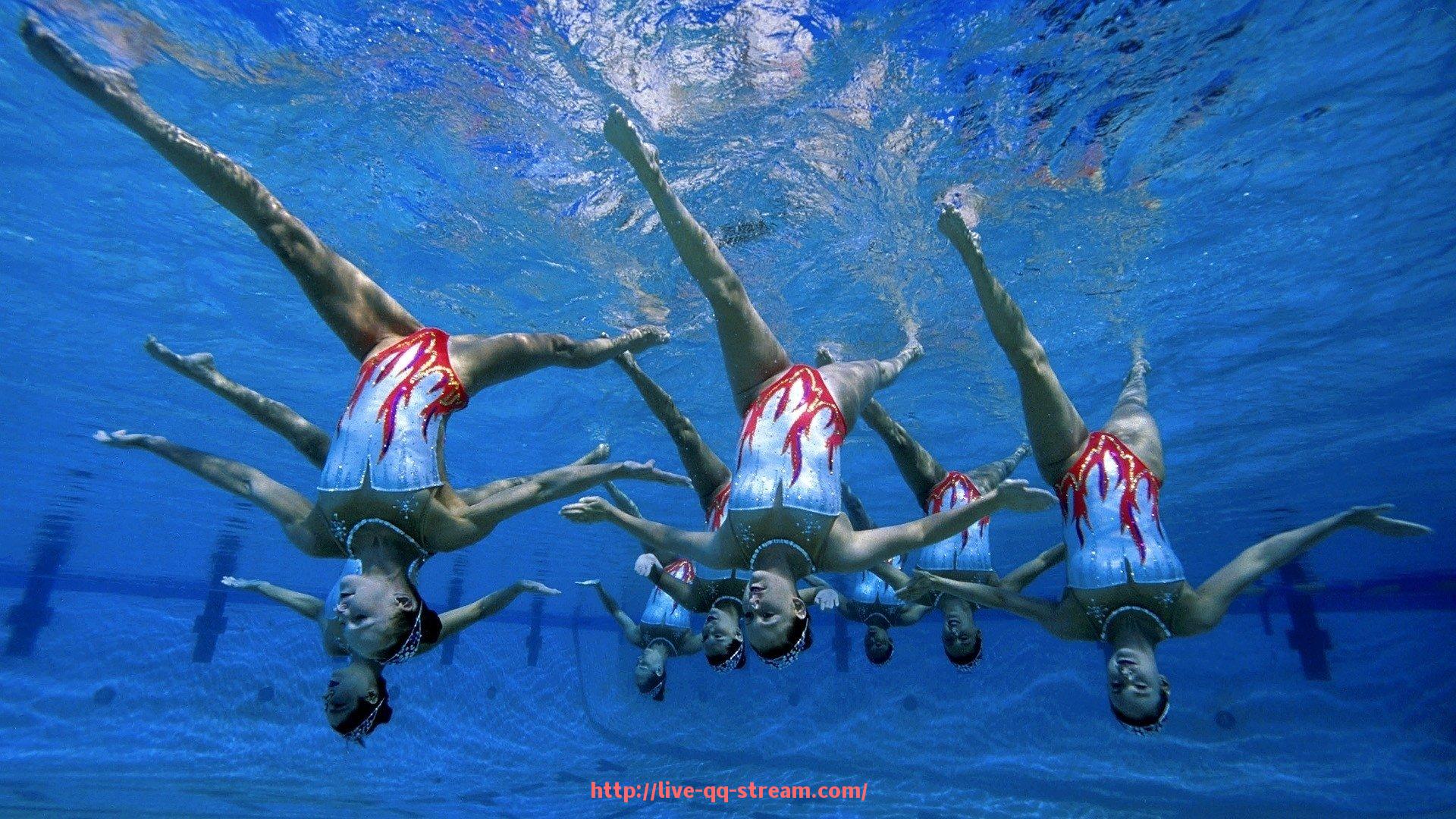 企鹅直播-德甲总共有多少支球队及其注册球员总数