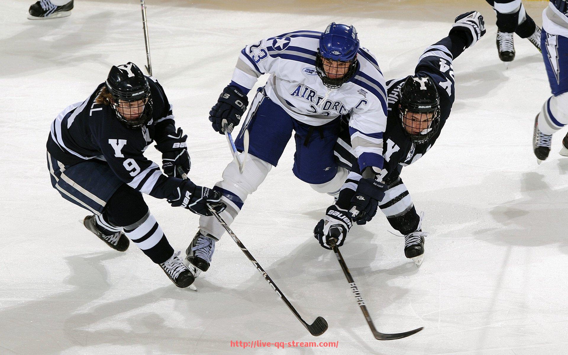 企鹅直播-世俱杯球迷互动展板设计全解析：看懂应援文化的视觉表达