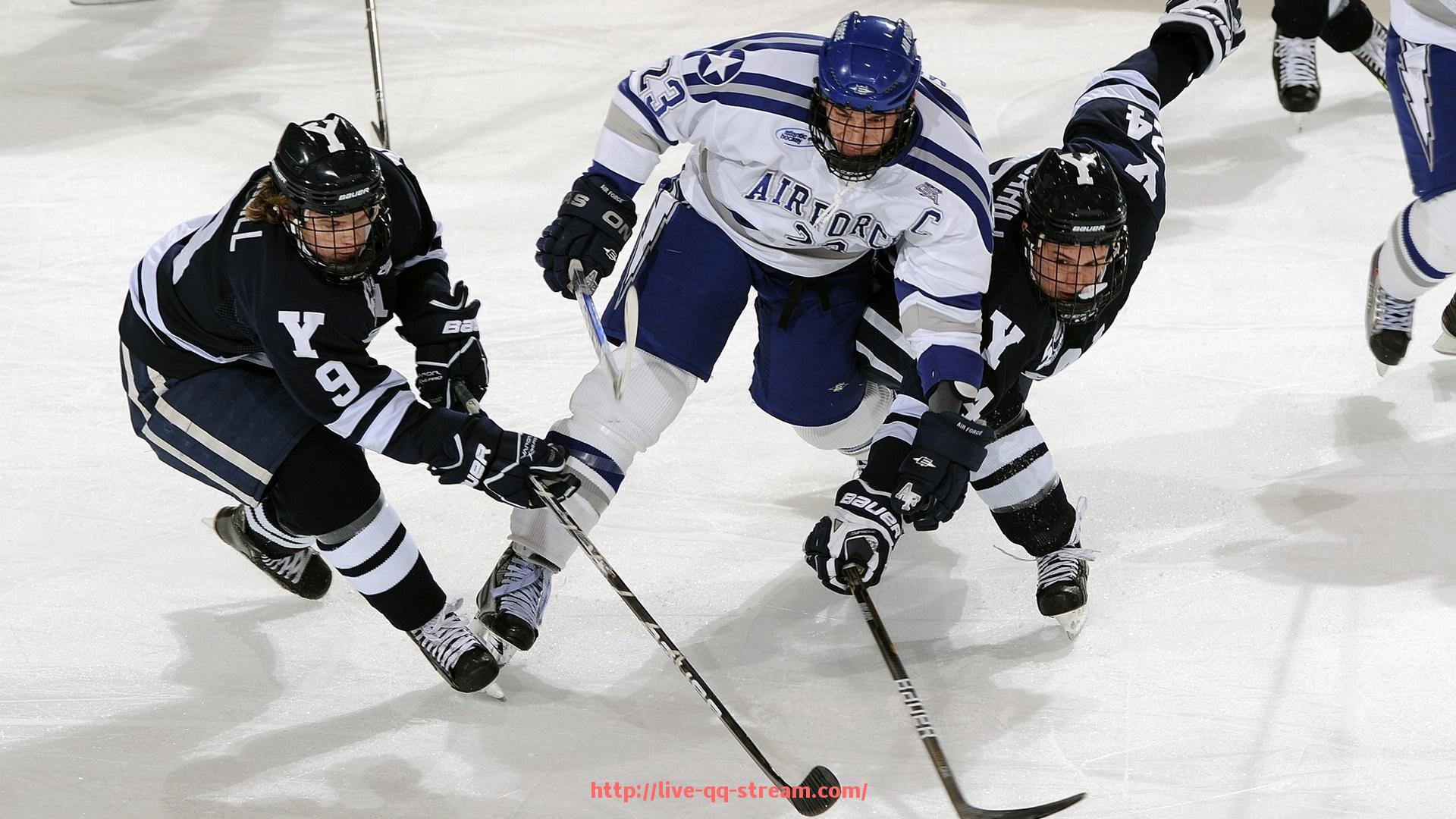 企鹅直播-安全的健身器材：挑选安全可靠的健身器材技巧